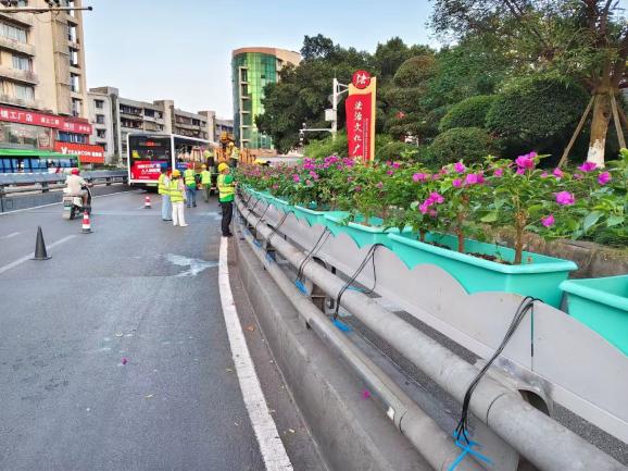花映兩橋·綠滿酒城—興綠園林公司實(shí)施沱江一橋、連心橋景觀升級工程   